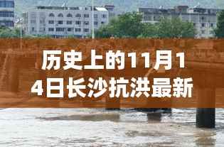 长沙抗洪日温情故事,洪水下的城市力量与温情记忆