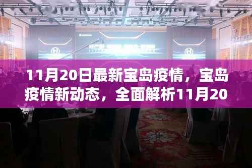 宝岛疫情最新动态解析，11月20日数据全面解读
