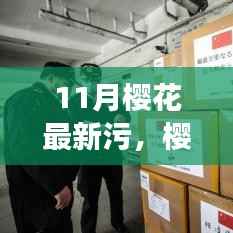 避免涉黄!以下是一个标题建议,,十一月樱花下的暖心日常与趣事远离低俗内容。