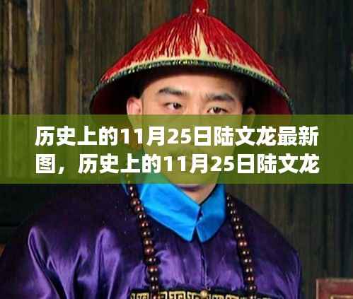 历史上的陆文龙,深度解读与观点阐述的最新图集(11月25日版)