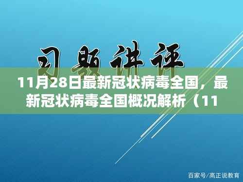 最新冠状病毒全国概况解析报告(11月28日版)