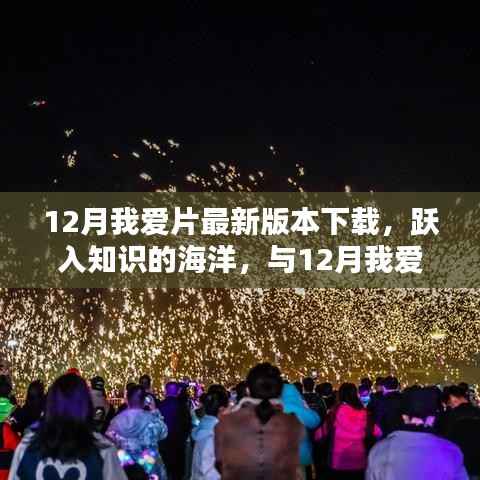 跃入知识海洋,与最新12月我爱片版本共舞,自信与成就感的召唤