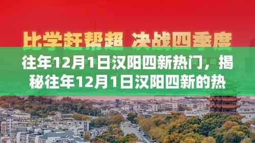 揭秘往年12月1日汉阳四新的热门焦点盛况