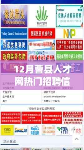 曹县人才网12月热门招聘信息与自然美景的邂逅，寻找平和之旅