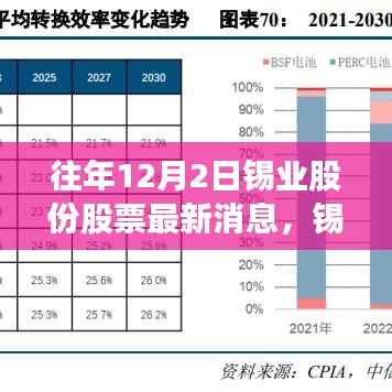 锡业股份历年动态回顾与最新消息深度解析，十二月二日锡业股份股票动态及最新消息速递