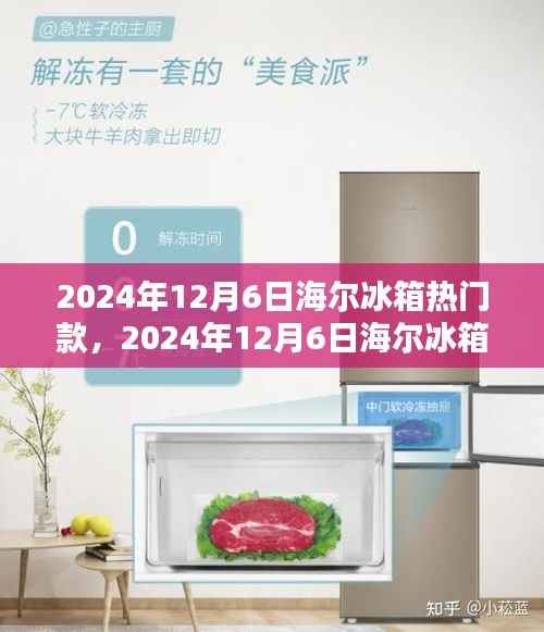 海尔冰箱热门款大盘点及深度测评，选购指南与测评报告（2024年12月6日版）