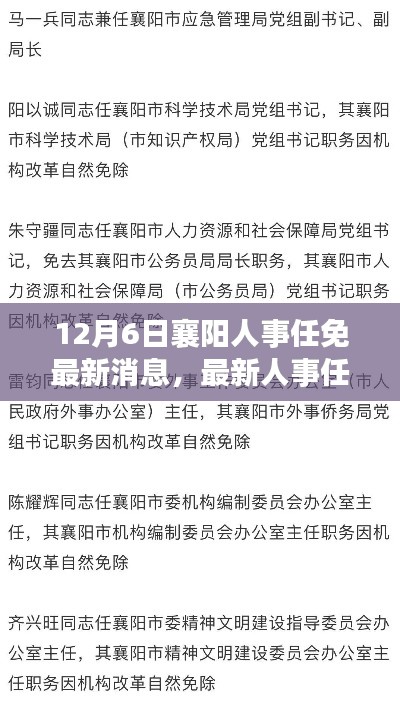 襄阳人事任免动态更新，最新人事调整概览（12月6日）