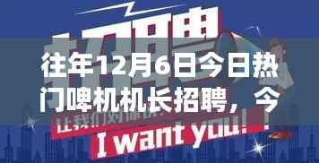 详细步骤指南，如何顺利应聘啤机机长职位，历年热门招聘回顾与应聘策略建议