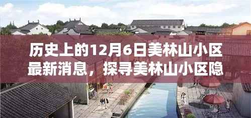 探寻美林山小区隐秘宝藏，特色小店与历史上的最新消息