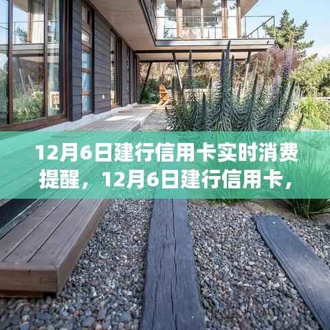 建行信用卡消费提醒，开启自然之旅，探寻宁静胜地