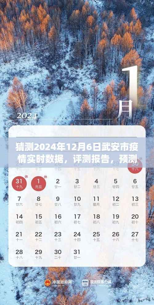 2024年视角，武安市疫情实时数据预测与评测报告，12月6日疫情状况展望