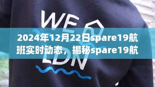 揭秘spare19航班在2024年12月22日的实时动态之旅，深度解析航班动态与飞行要点