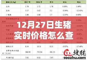 12月27日生猪实时价格查询指南，深度评测与详细介绍