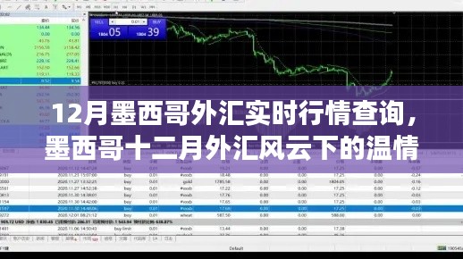 墨西哥十二月外汇行情实时解析，温情日常与外汇风云的交织