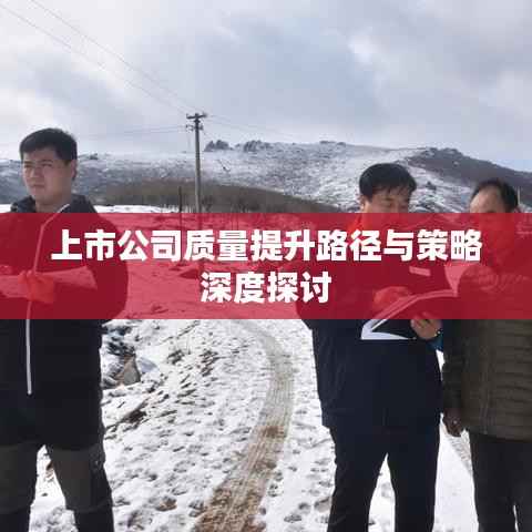 上市公司质量提升路径与策略深度探讨