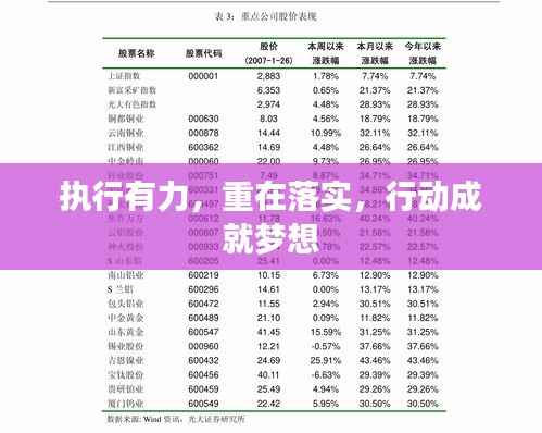 执行有力，重在落实，行动成就梦想