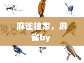 麻雀独家,麻雀by