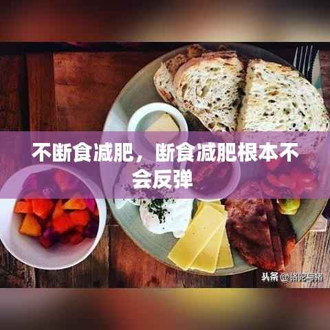 不断食减肥，断食减肥根本不会反弹 