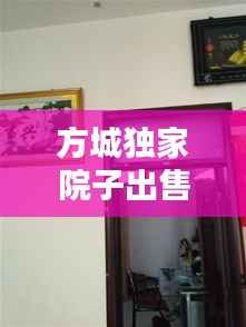 方城独家院子出售信息,方城近期独家小院出售老房子
