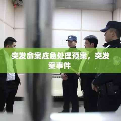 突发命案应急处理预案,突发案事件