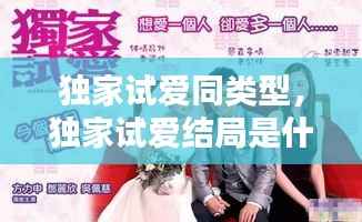 独家试爱同类型，独家试爱结局是什么 