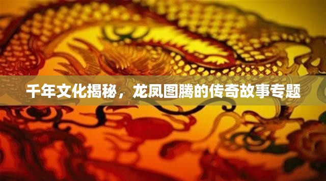 商品分类 第173页