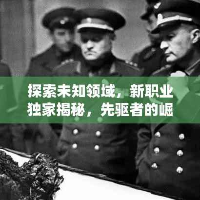 探索未知领域，新职业独家揭秘，先驱者的崛起