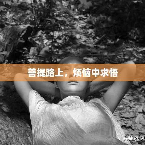 菩提路上,烦恼中求悟