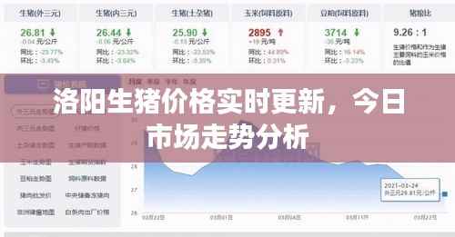 zhangchanghuamei 第8页