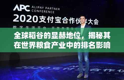 全球稻谷的显赫地位，揭秘其在世界粮食产业中的排名影响力