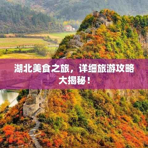 湖北美食之旅,详细旅游攻略大揭秘!