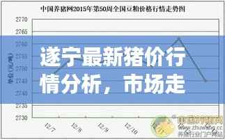 遂宁最新猪价行情分析，市场走势与影响因素探讨