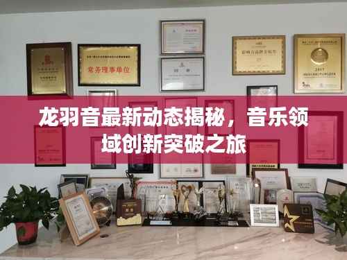 龙羽音最新动态揭秘，音乐领域创新突破之旅