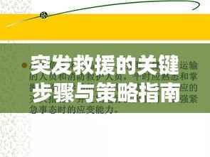 突发救援的关键步骤与策略指南