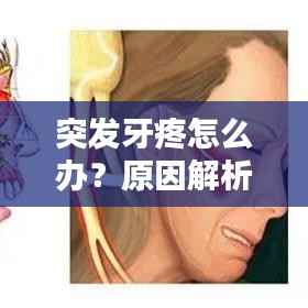 突发牙疼怎么办？原因解析、应急措施及预防指南