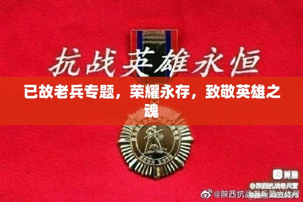 已故老兵专题，荣耀永存，致敬英雄之魂