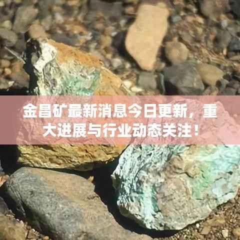 金昌矿最新消息今日更新,重大进展与行业动态关注!
