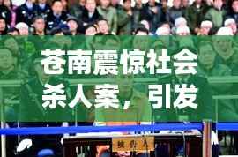 苍南震惊社会杀人案，引发各界深思与关注