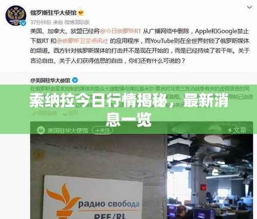 索纳拉今日行情揭秘,最新消息一览