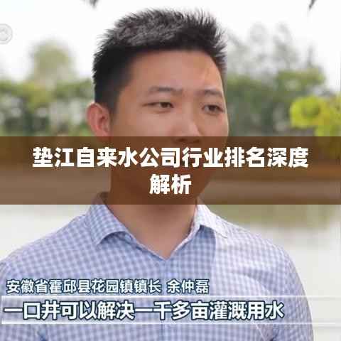 垫江自来水公司行业排名深度解析