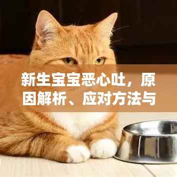 新生宝宝恶心吐,原因解析、应对方法与关爱要点