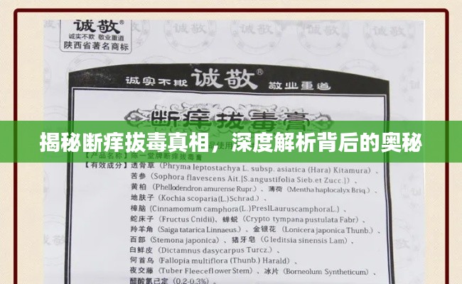 揭秘断痒拔毒真相,深度解析背后的奥秘