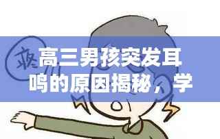 高三男孩突发耳鸣的原因揭秘,学习压力与生活习惯或是罪魁祸首?