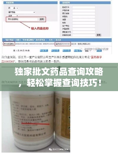 独家批文药品查询攻略,轻松掌握查询技巧!