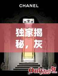 独家揭秘，灰色香水背后的低调奢华香气世界