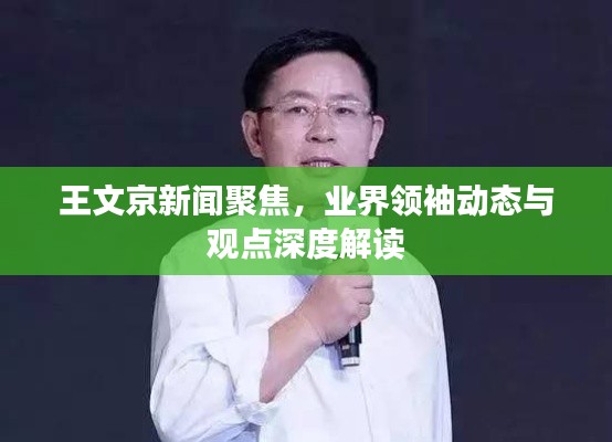 王文京新闻聚焦，业界领袖动态与观点深度解读