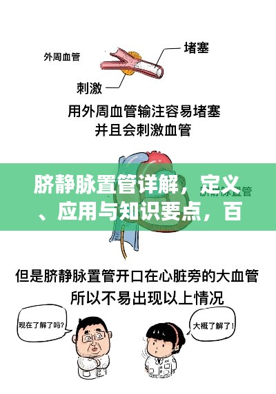 脐静脉置管详解，定义、应用与知识要点，百度带你探索医学新知