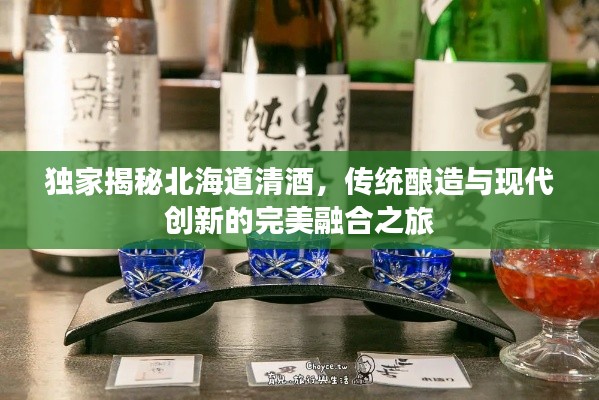 独家揭秘北海道清酒，传统酿造与现代创新的完美融合之旅