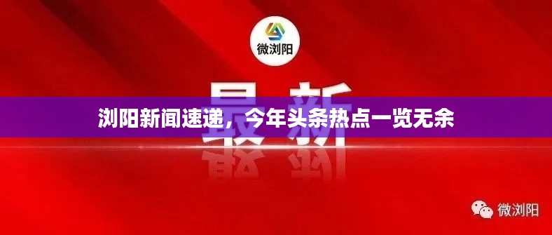 浏阳新闻速递，今年头条热点一览无余