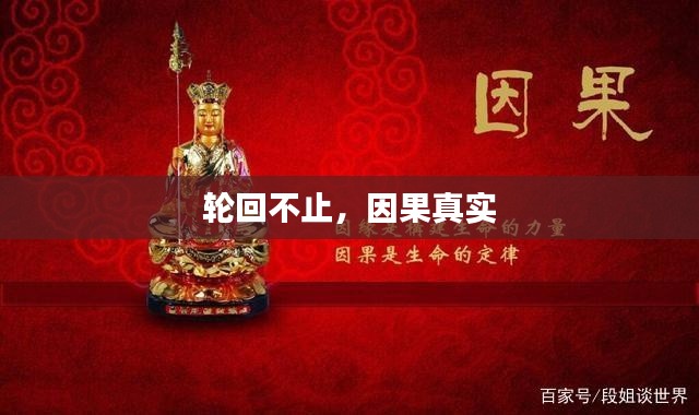 轮回不止，因果真实